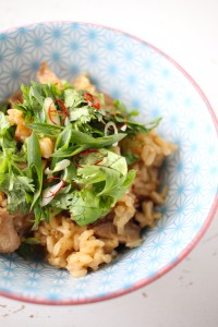 Malaysian claypot chicke (or tofu) rice in a rice cooker