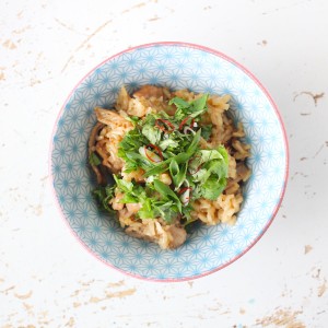 Malaysian claypot chicke (or tofu) rice in a rice cooker