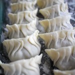 homemade gyoza 2