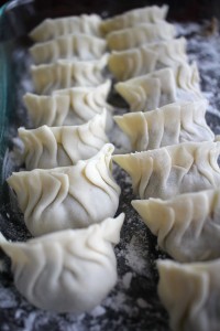 Homemade Gyoza