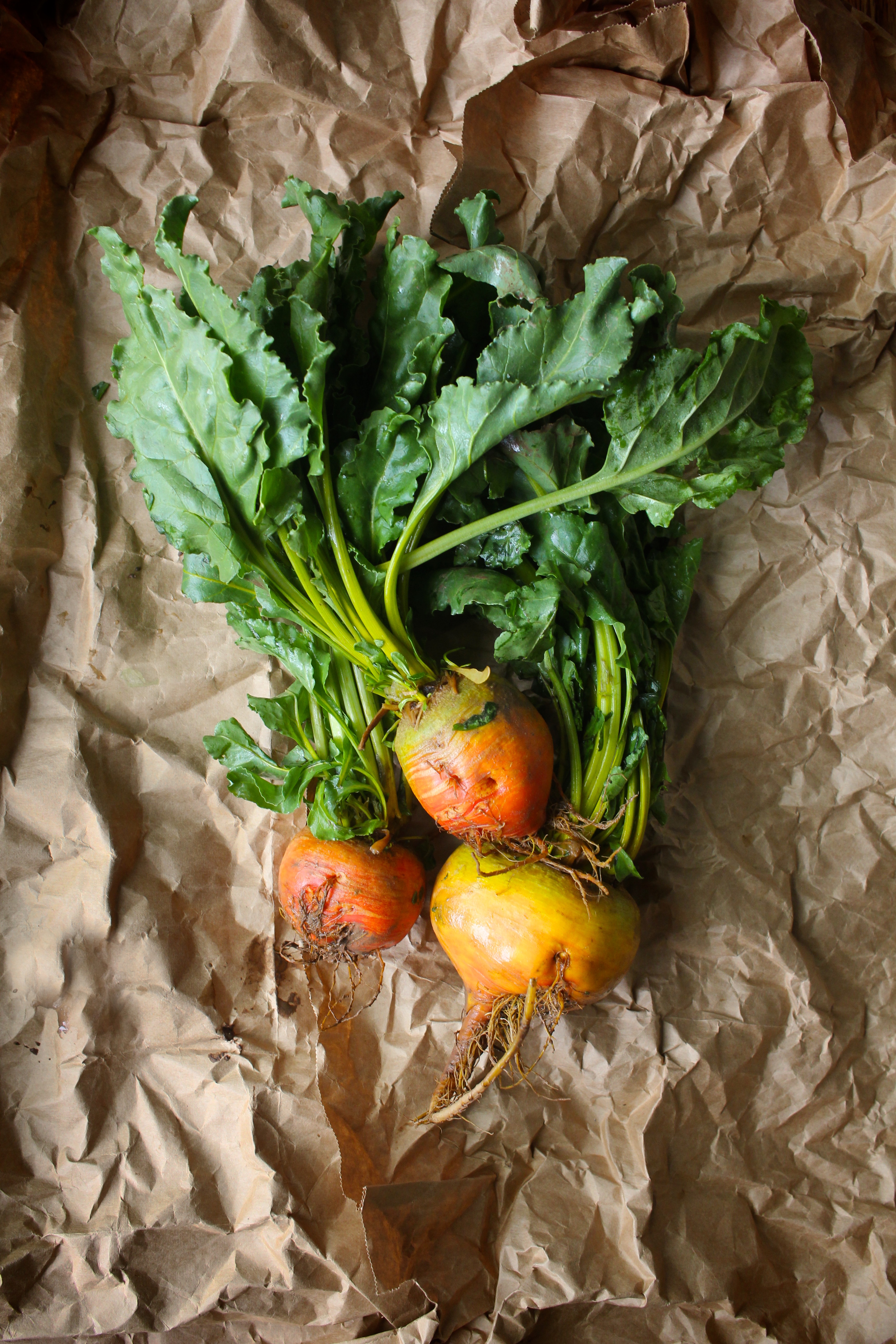 roasted golden beet salad 2