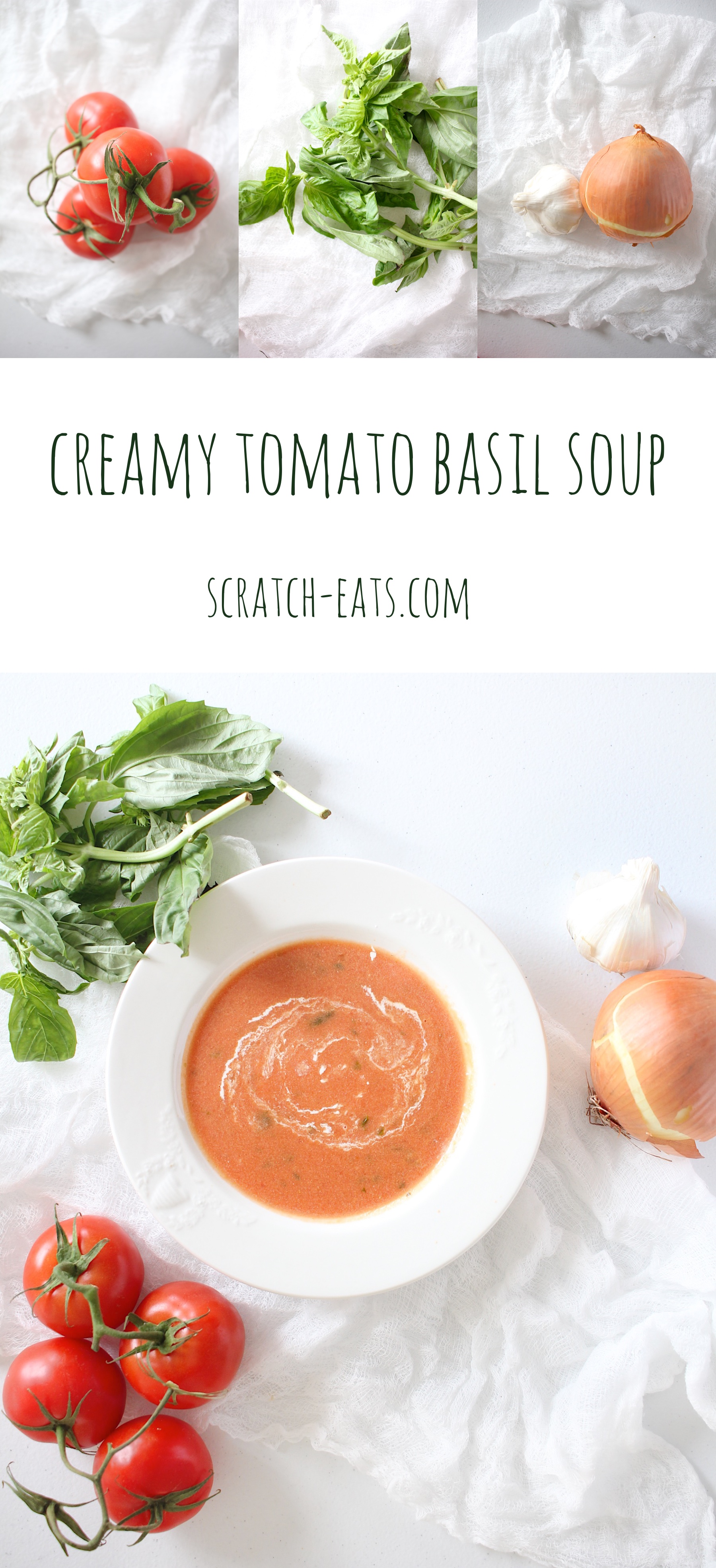 Creamy Tomato Basil Soup